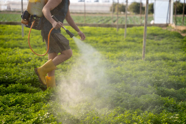 Best Commercial Pest Control Services  in Hudson Oaks, TX