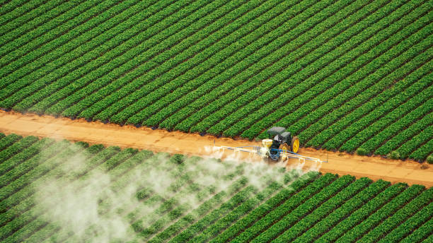 Best Ant Control Services  in Hudson Oaks, TX