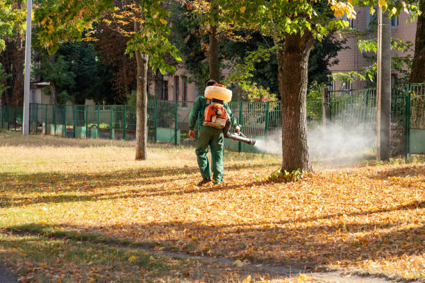 Best Exterminator Services  in Hudson Oaks, TX