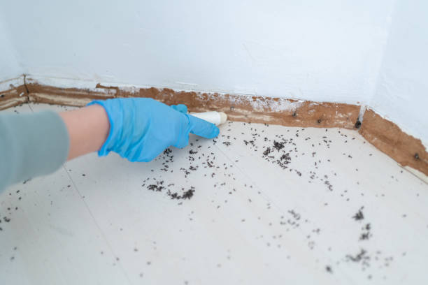 Best Affordable Pest Control Services  in Hudson Oaks, TX